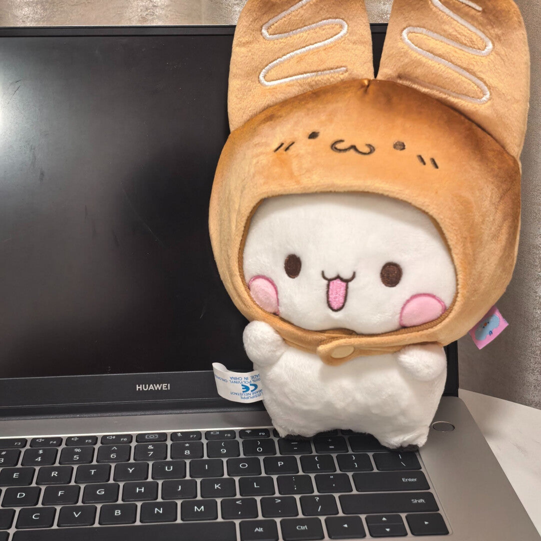 Bubu Dudu Toast Plush 烤面包一二布布 🍞